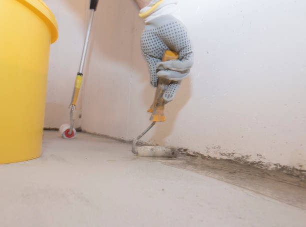 Best Fumigation Services  in Falfurrias, TX